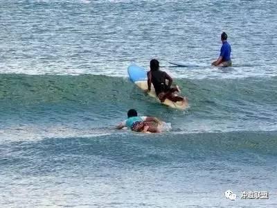虫虫助手下载